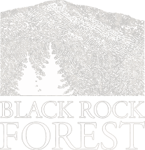 Home | Black Rock Forest